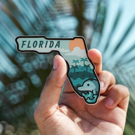 Florida 2-40 Health Prelicensing Course